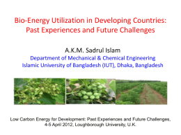 Bio-Energy Utilization in Developing Countries and Future