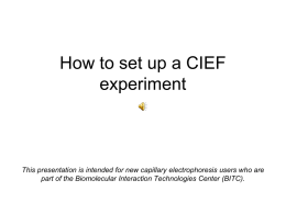 How to set up a CIEF experiment