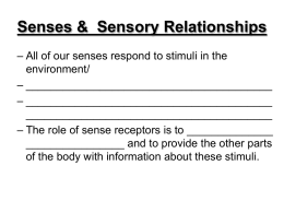 Unit 2 - senses - Sir Wilfrid Laurier School Board