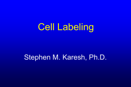 Cell Labeling Procedure - Nuclear Medicine Consultants
