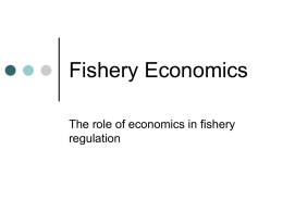The economics of fishery management