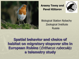 Spatial behavior and choice of habitat on migratory