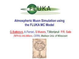FLUKA towards applications in hadrontherapy - INFN
