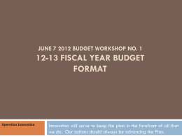 '09-'10 Fiscal Year Budget Format
