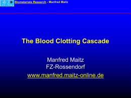 Diagram of the Blood Clotting Cascade