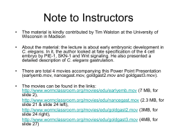 C. elegans Blastomere Specification and Gastrulation