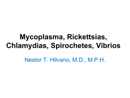 Mycoplasma, Rickettsias, Chlamydias, Spirochetes, Vibrios