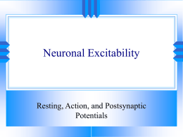 Neuronal Excitability - STCC Faculty Webpages