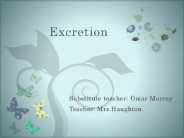 Excretion - CAPE Biology Unit 1 Haughton XLCR 2013