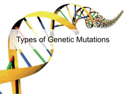 Types of Genetic Mutations