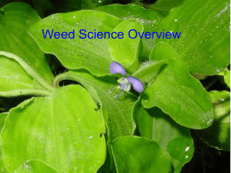 Weed Science Overview - UGA Crop & Soil Sciences