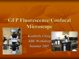 GFP Fluorescence Microscope