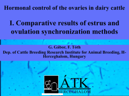 Hormonal control of the ovaries in dairy cattle I