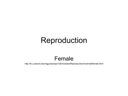 Reproduction - Animal Sciences Home Page