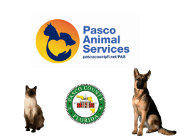 Pasco County – Spay / Neuter Rebate Program