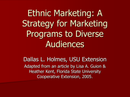 Ethnic Marketing: A Strategy for Marketing Programs to