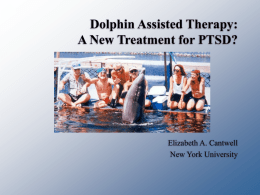 Dolphin Assisted Therapy: A New Treatment for PTSD?