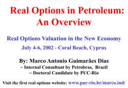 Real Options and Investment under Uncertainty in E&P