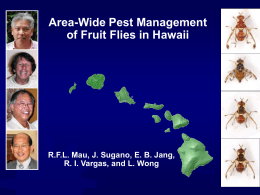 Area-Wide Pest Mgt of Fruit Flies