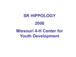 Senior Hippology Stations 2008  - Missouri 4-H