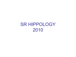 SR HIPPOLOGY 2010 - University of Missouri