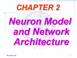 Neuron Model & Architecture