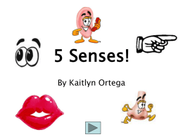 5 Senses! - University of North Texas