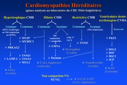 Clinical and molecular genetics of Hypertrophic Cardiomyopathy