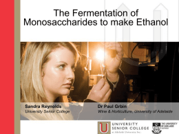 Fermentation of monosaccarides