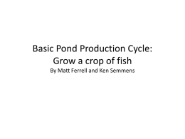 Pond Production