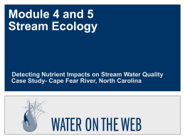Mod4/5 - Stream Ecology