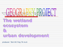 The wetland ecosystem & urban development