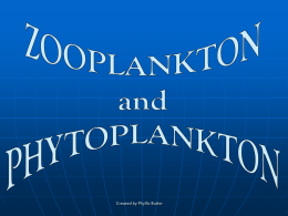 Plankton - Kellam High School Oceanography Main Menu