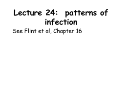 Lecture 22: patterns of infection