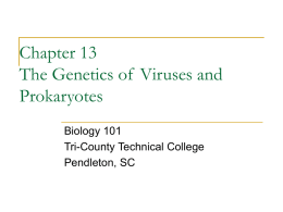 Chapter 13 The Genetics of Viruses and Prokaryotes