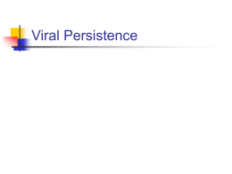 Viral Persistence