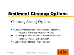 Sediment Cleanup Options