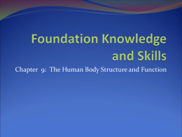Foundation Knowledge and Skills