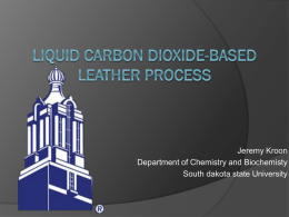 Liquid Carbon Dioxide-Based Leather Process