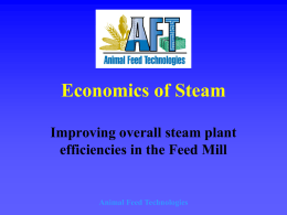 Understanding Steam - Grain Processing Experts