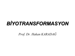 Slayt 1 - Prof. Dr. Hakan Karadağ