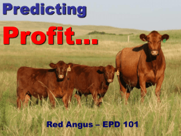 Red_Angus_EPD_101 - Red Angus Association of America