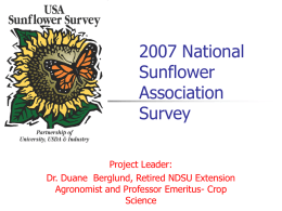 2005 Sunflower Survey Teams