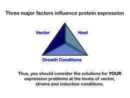 Three Major factors influence protein expression