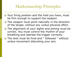 Marksmanship Principles