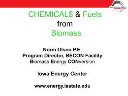 Biomass Energy CONversion Facility