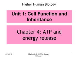 3 ATP and energy release