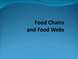 Food Chains and Food Webs - Georgian Court University