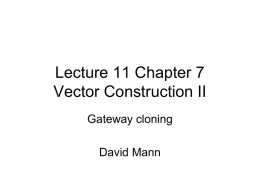 Vector Construction II - Department of Plant Sciences