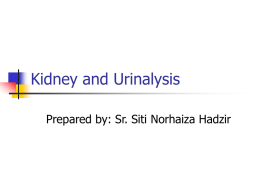 Kidney and Urinalysis - Biomedic Generation | Sharing